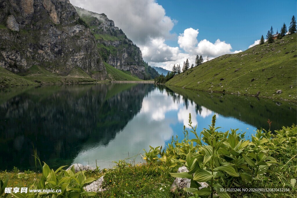 山间静谧湖景绿意盎然