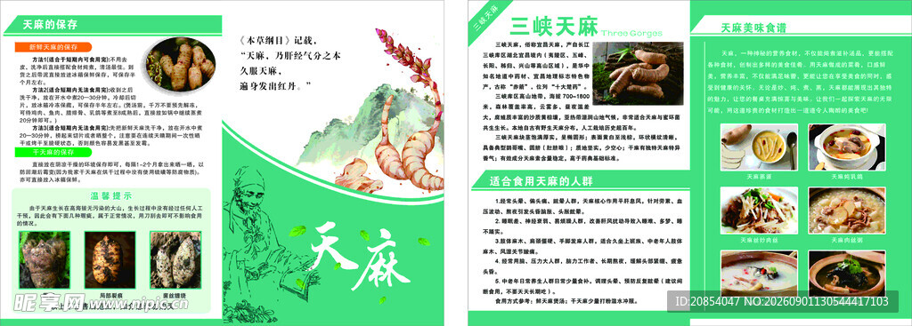 三峡天麻单页