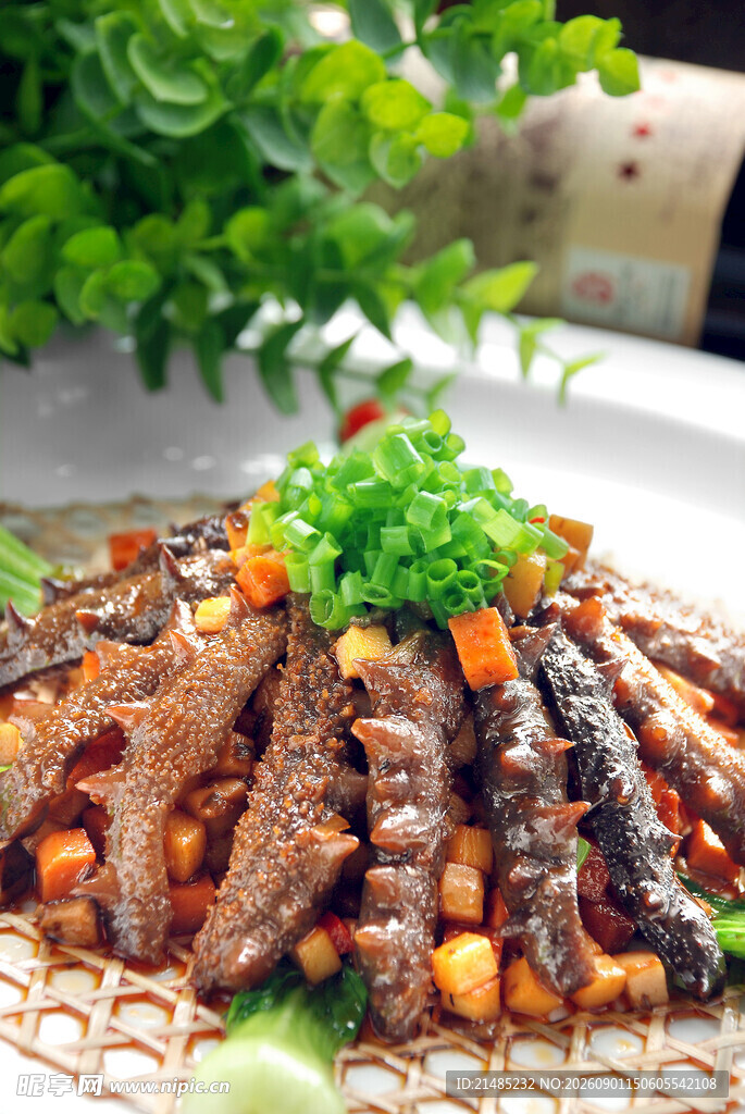 美味海参菜肴摆盘精致