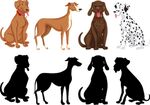 多种猎犬形象插画