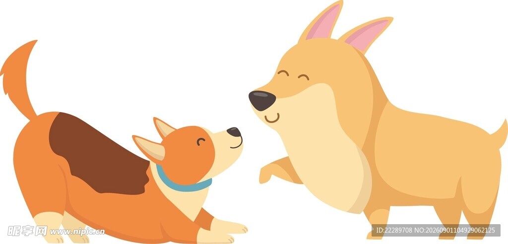 两只萌犬互动瞬间