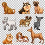 多样萌犬集合