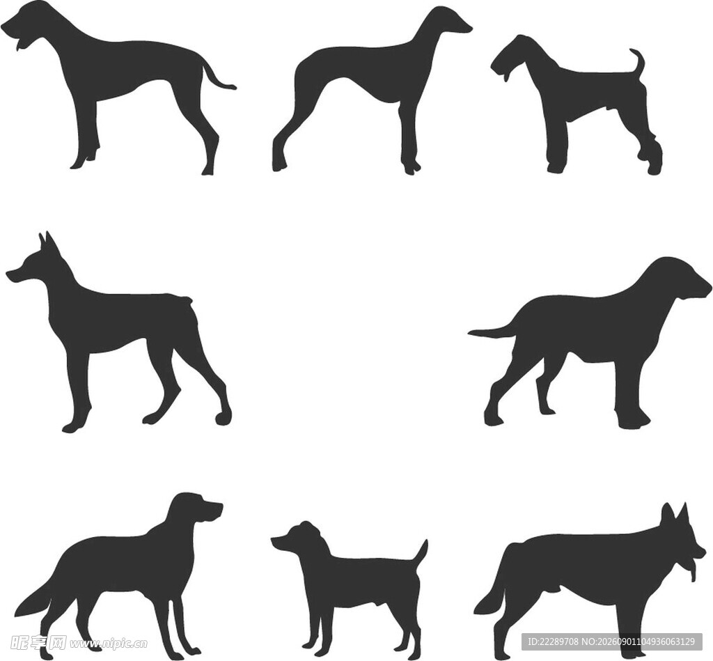 多种犬类剪影