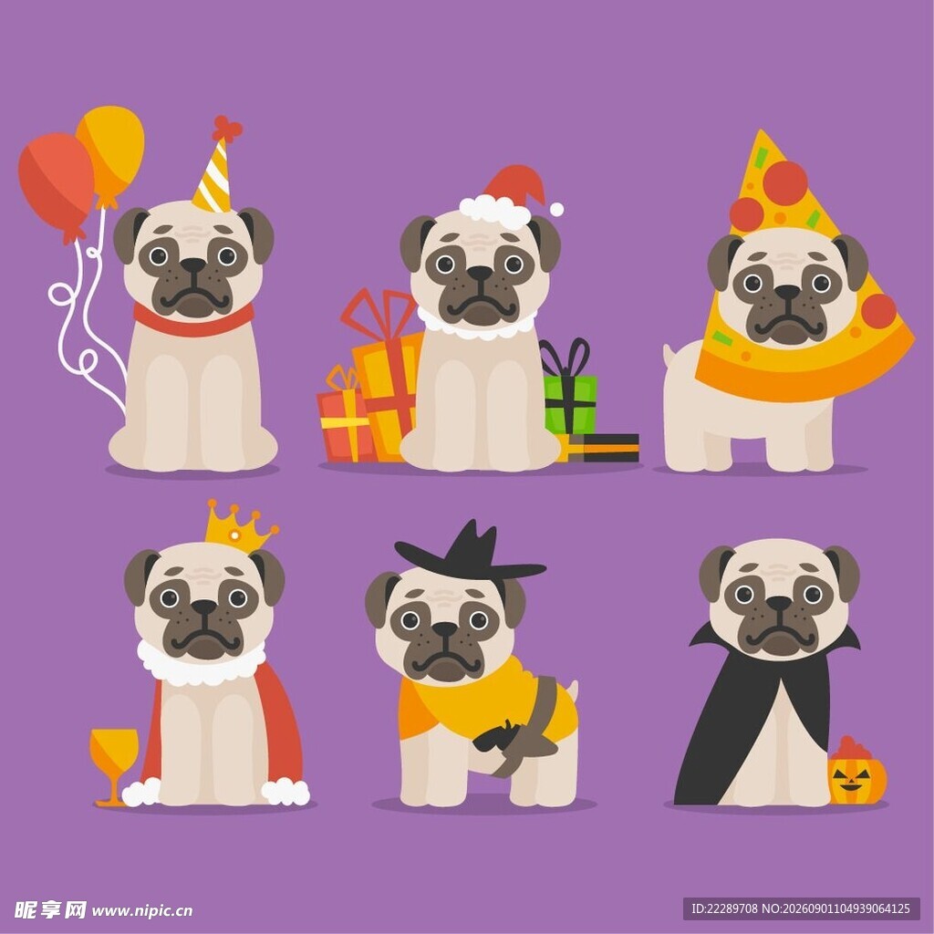可爱巴哥犬的欢乐派对