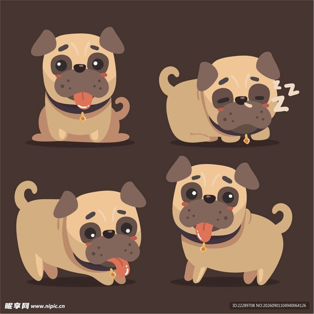 可爱八哥犬的多样表情