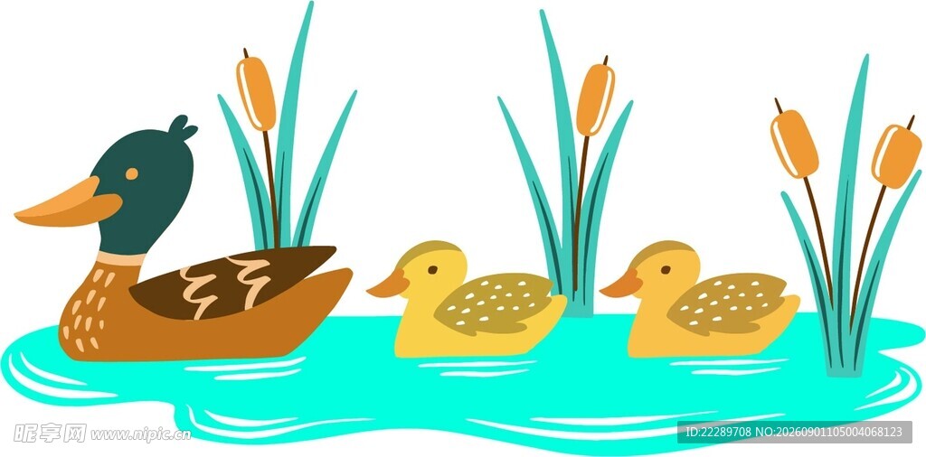 鸭妈妈带小鸭水中游