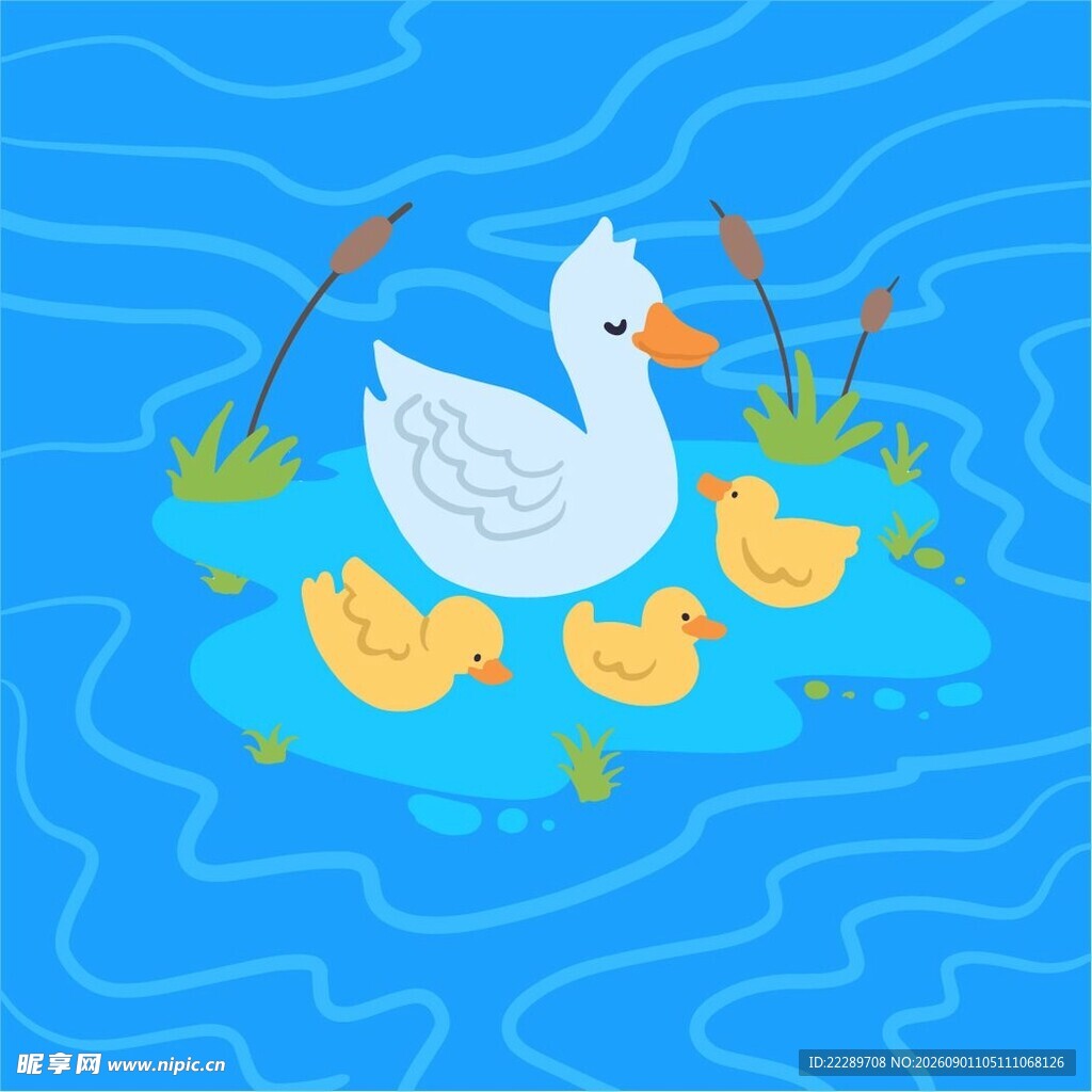 鸭妈妈带小鸭水中嬉戏
