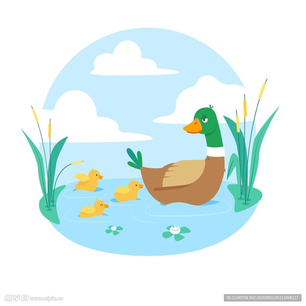 鸭妈妈带小鸭水中嬉戏