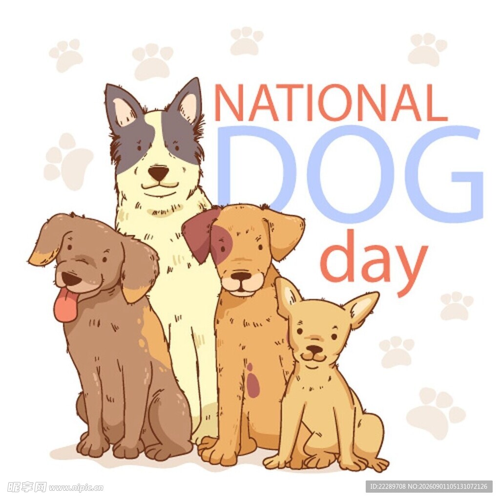 国家狗狗日可爱狗狗集合