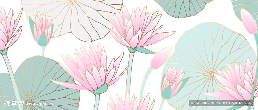 睡莲背景插画