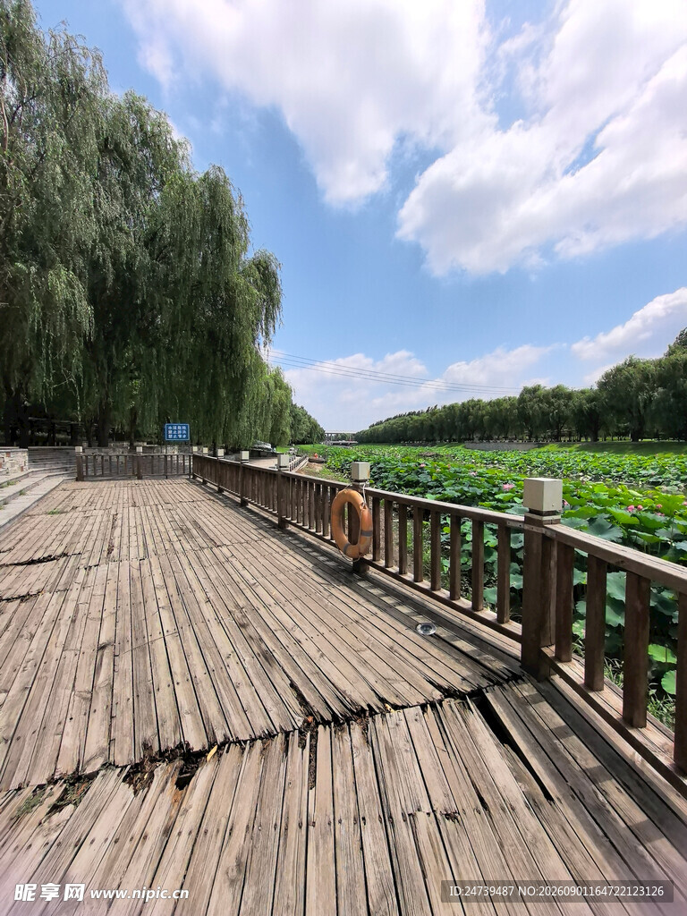 湖畔木栈道风景