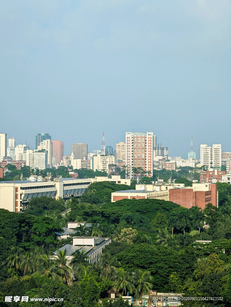 城市天际线与绿树景观