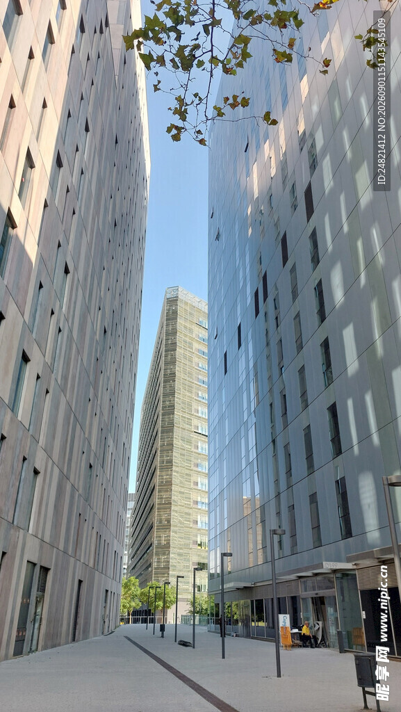 现代都市中的高楼街道