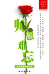 教师节