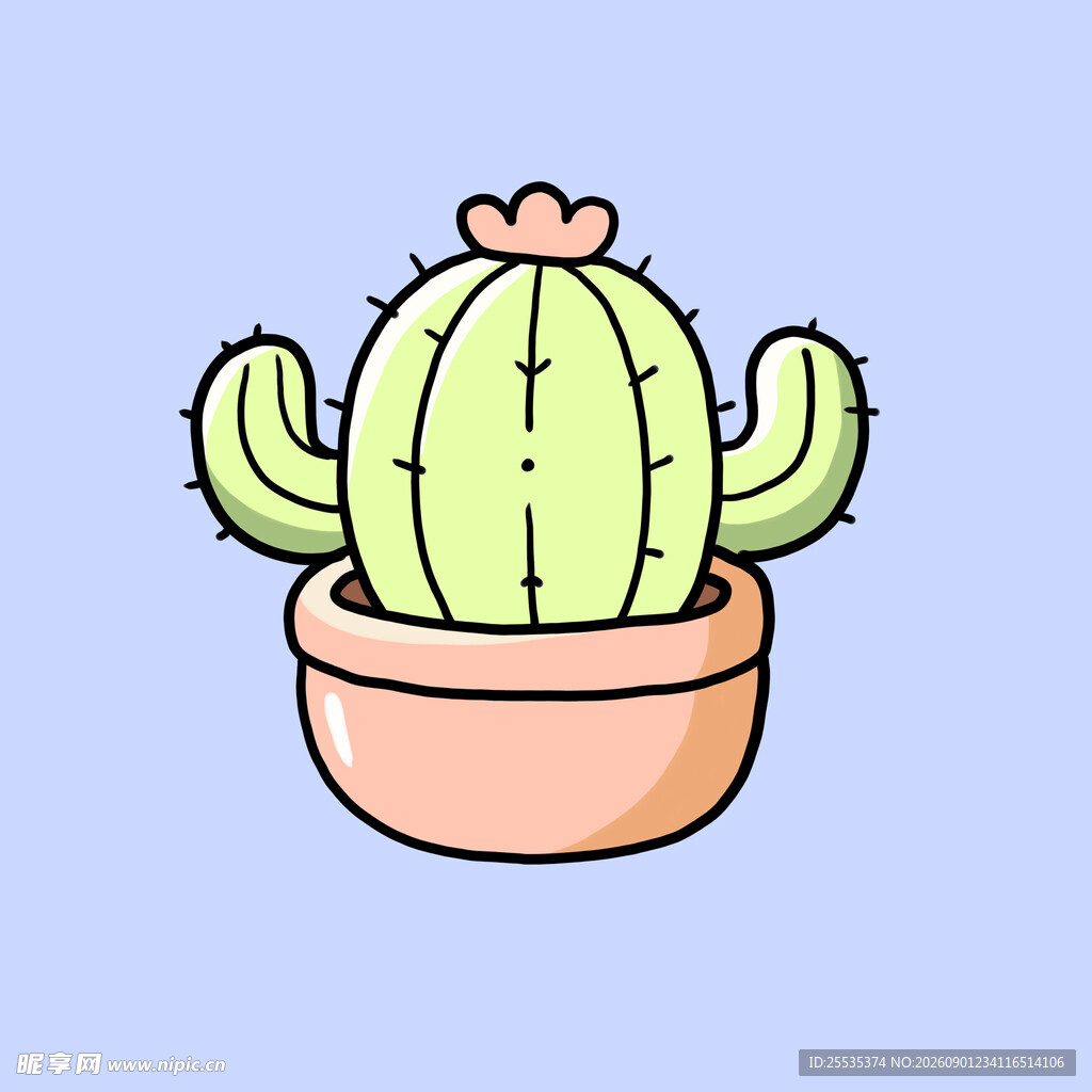 仙人掌盆栽