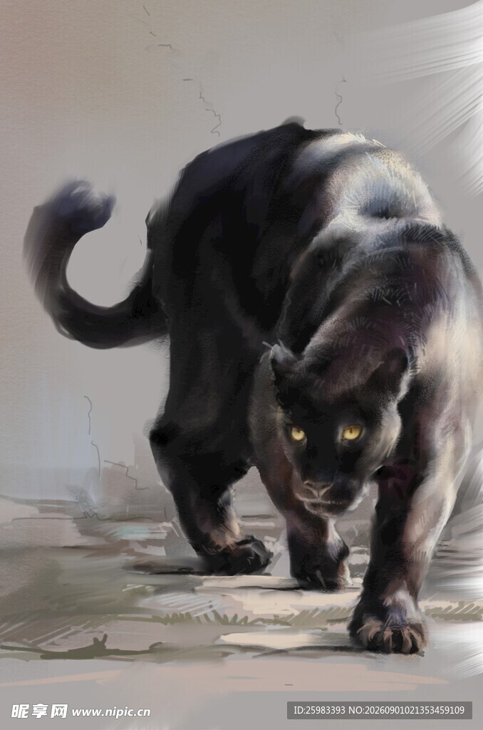 黑豹插画