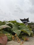 宜兴大潮山