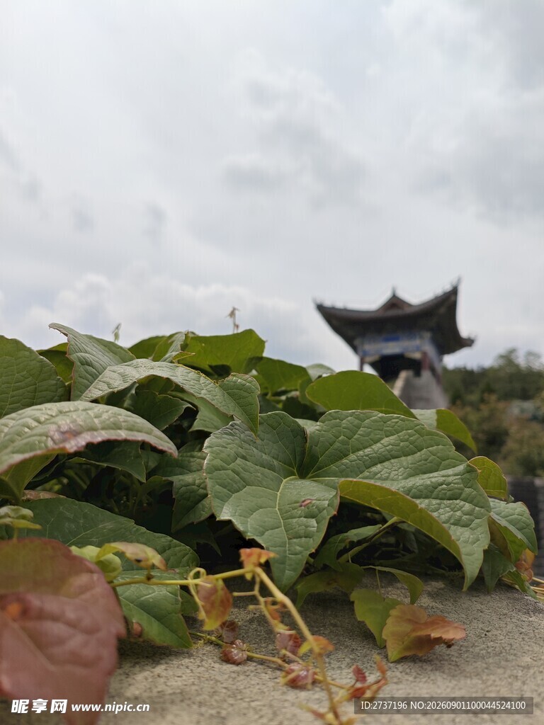 宜兴大潮山