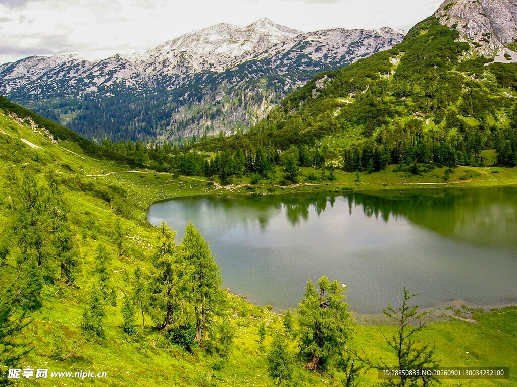 山间碧湖绿意盎然的美景