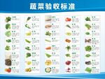 蔬菜验收标准