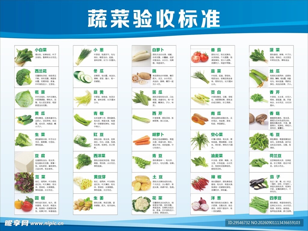 蔬菜验收标准