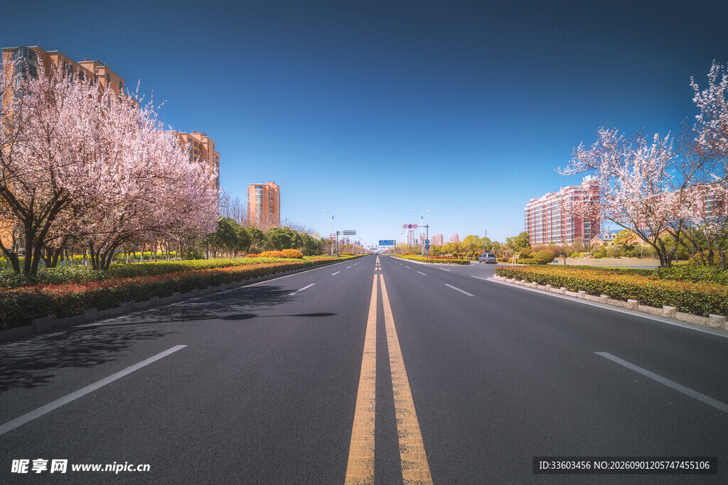 春日繁花盛开的宽阔道路