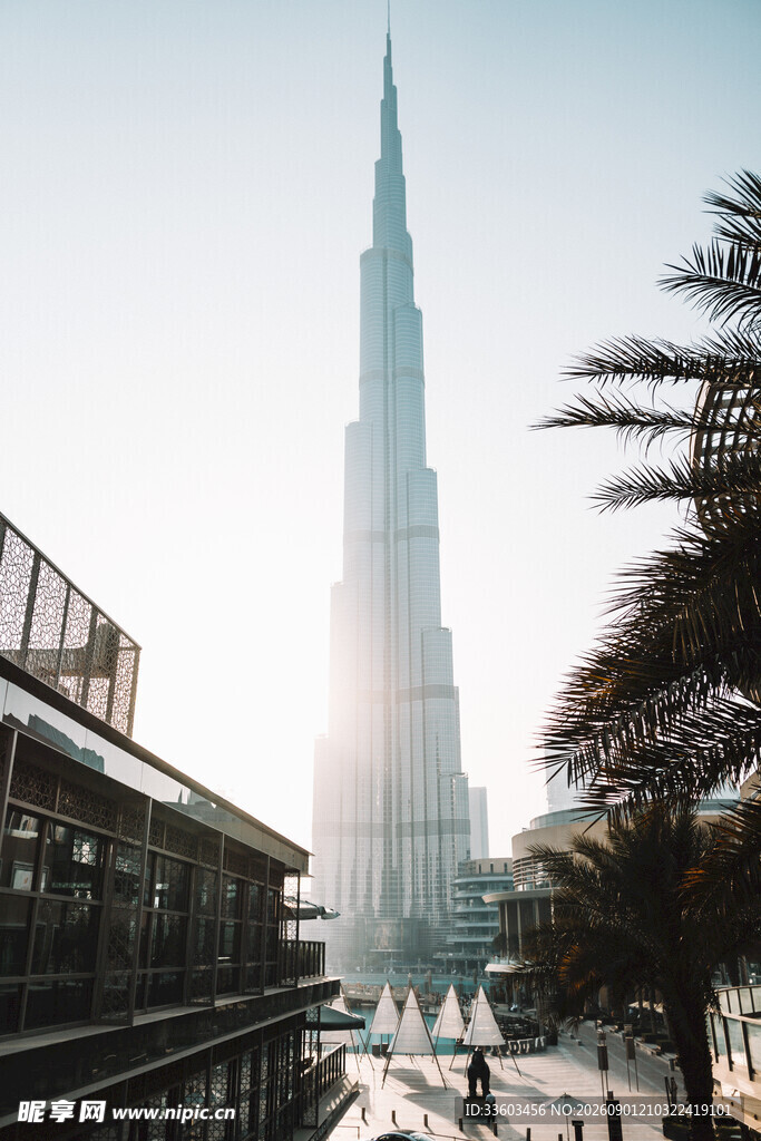迪拜高楼景观