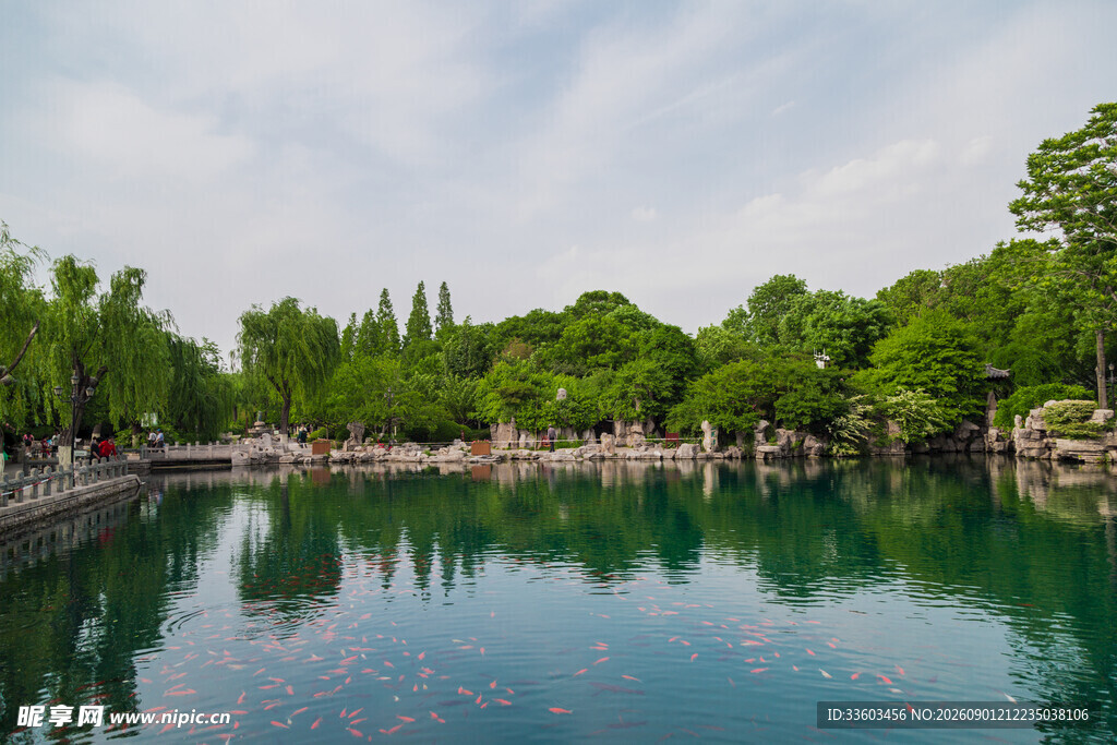 宁静湖畔绿意盎然的美景