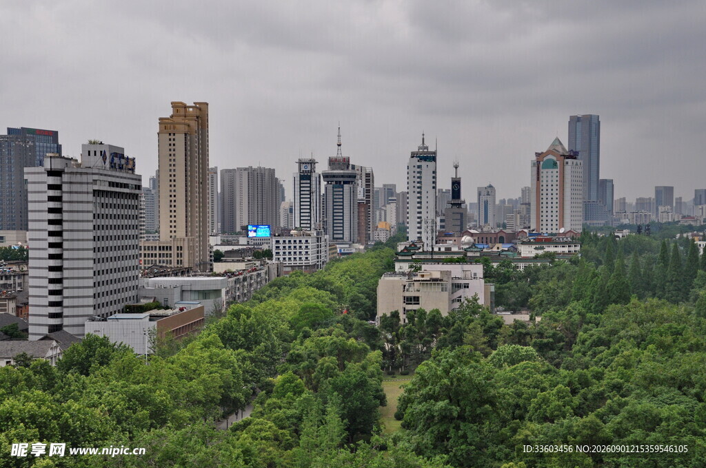 城市森林景观