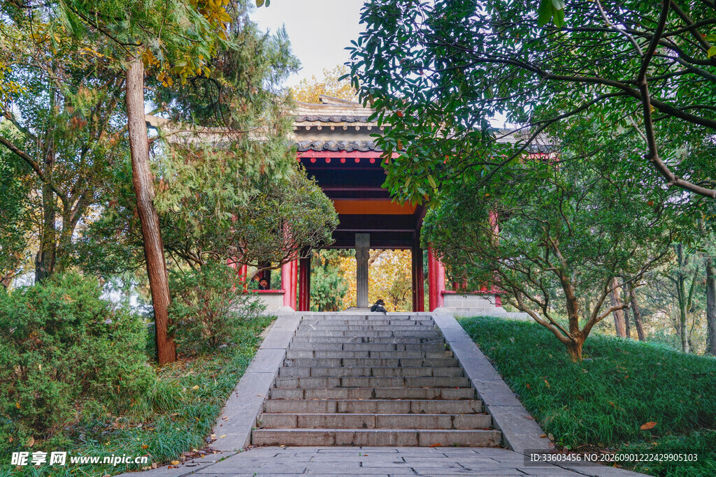 中式园林小径与古典建筑