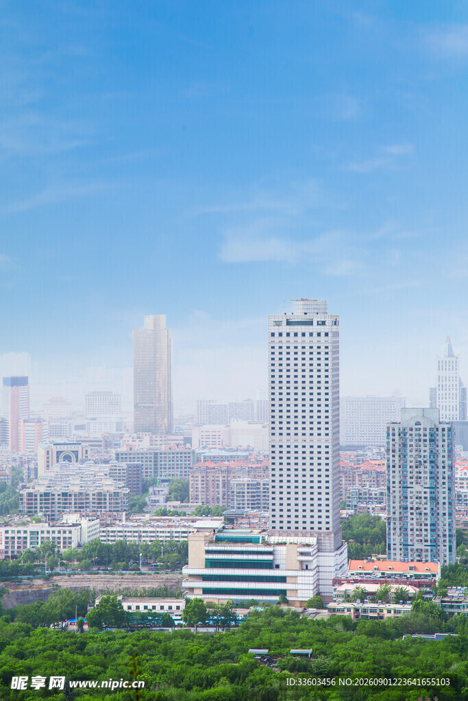 城市天际线与绿树景观