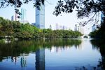深圳京基