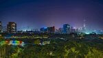 城市夜景下的绿植景观