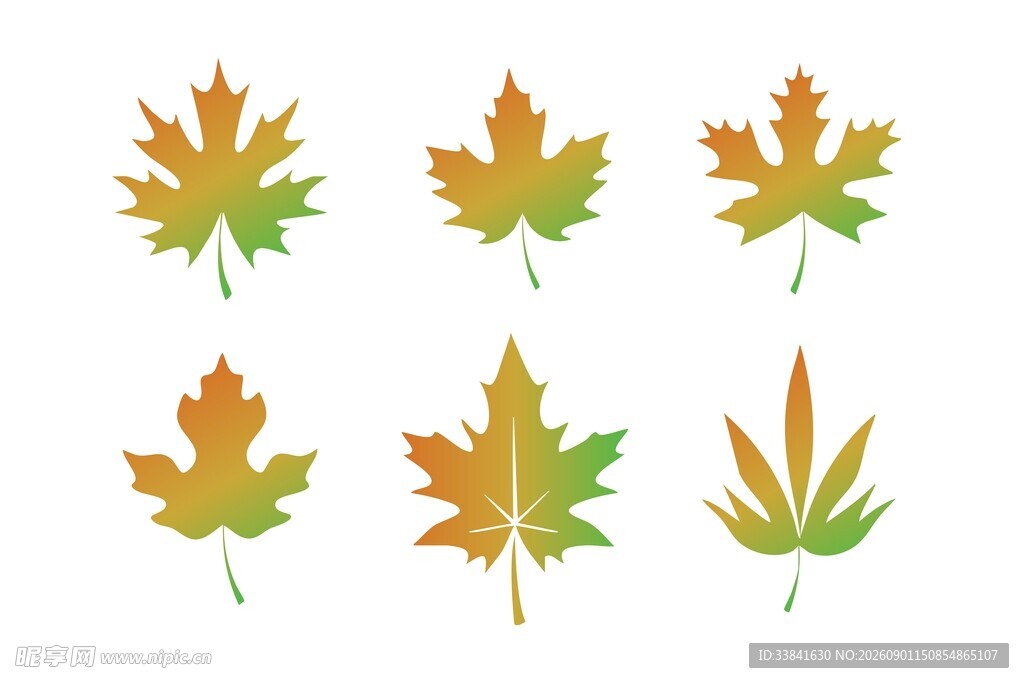 渐变枫叶素材