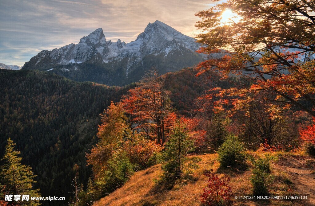秋日山林间的壮美山景