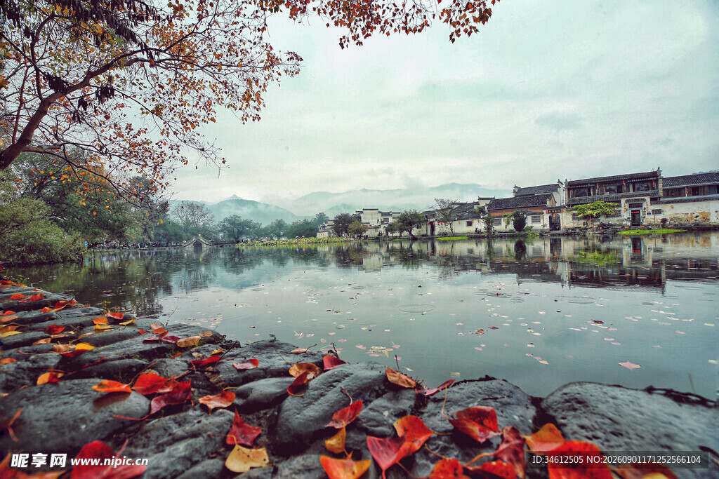 湖畔红叶铺地的诗意景致