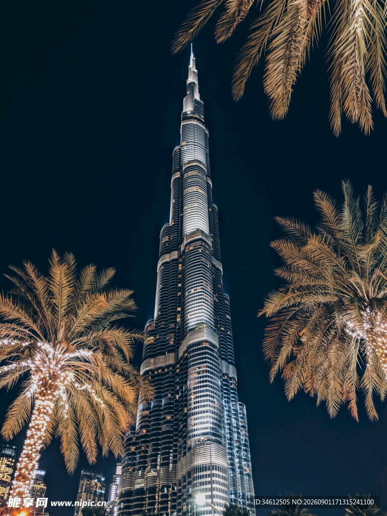 迪拜塔夜景棕榈树相伴