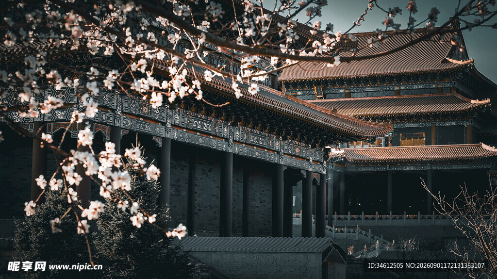 古建旁绽放的烂漫春花