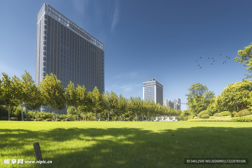 城市绿地旁的高楼景观