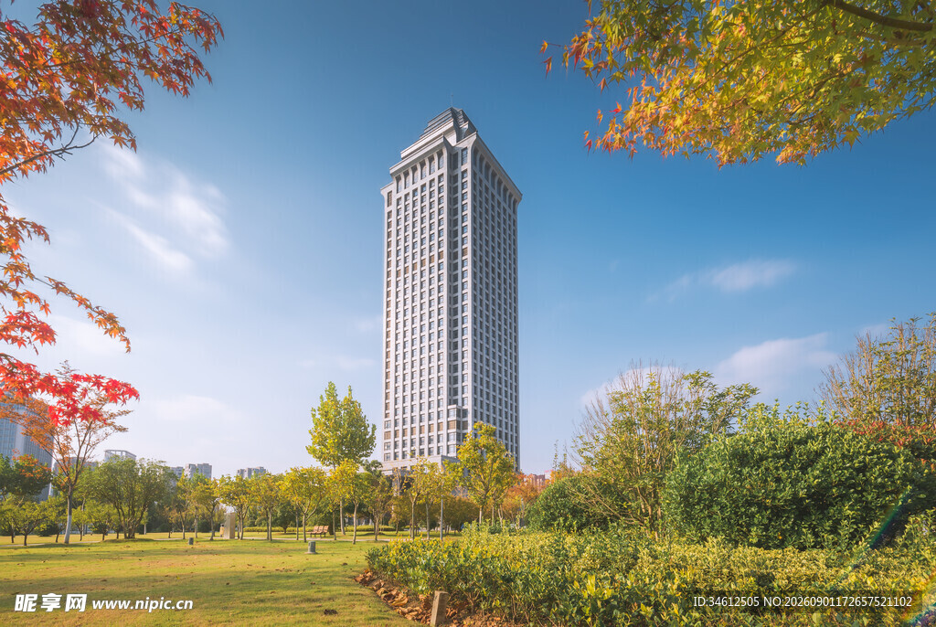 秋日城市高楼与绿地景观