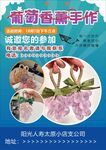 葡萄风信子手作手工宣传单页