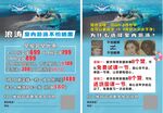 游泳培训招生宣传海报