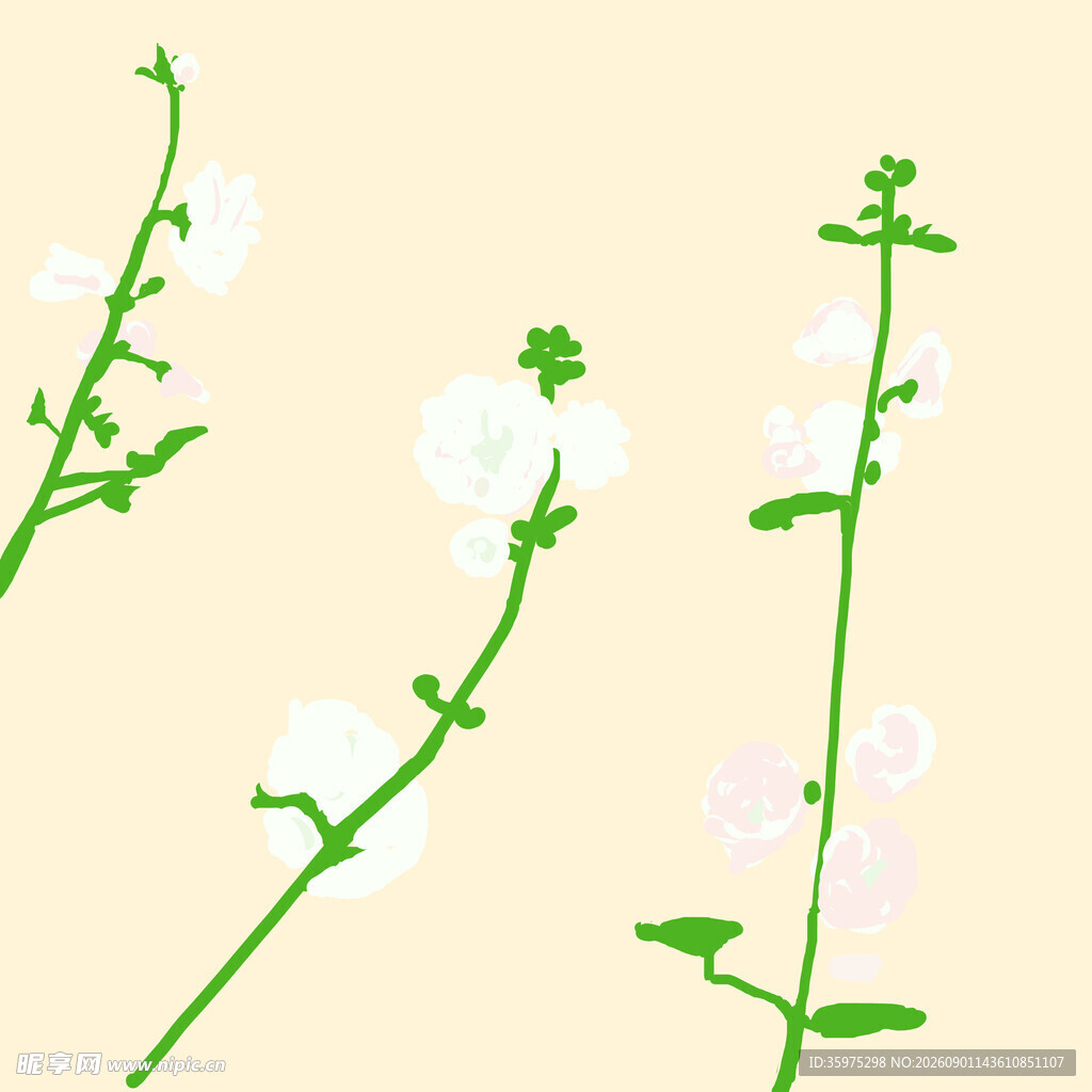 清新白色小花植物插画