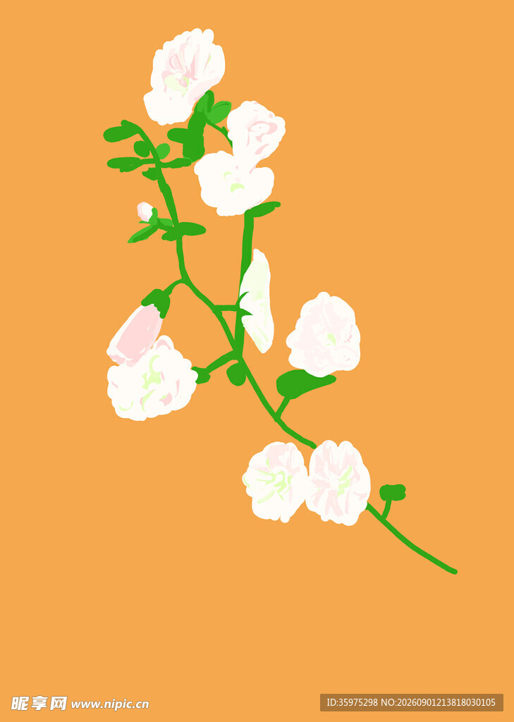 橙色背景上的白色花朵枝