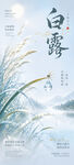 白露时节芦苇美景海报