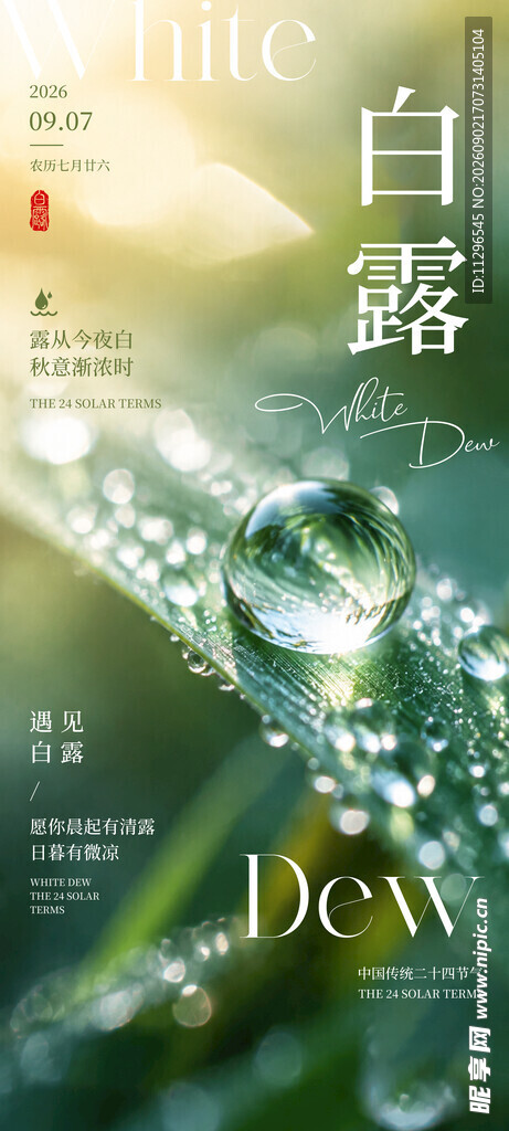 白露节气促销海报
