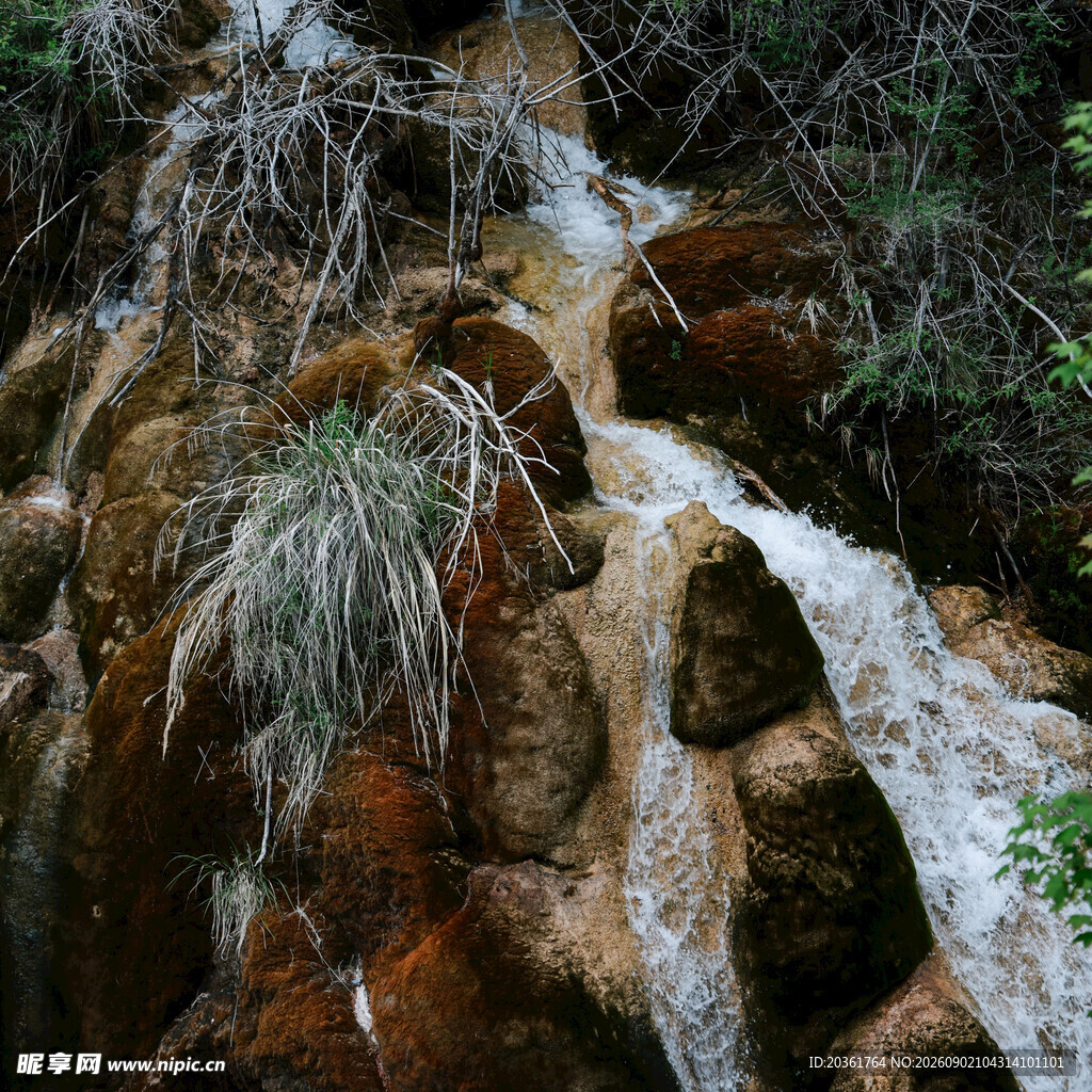 山间溪流潺潺流过岩石