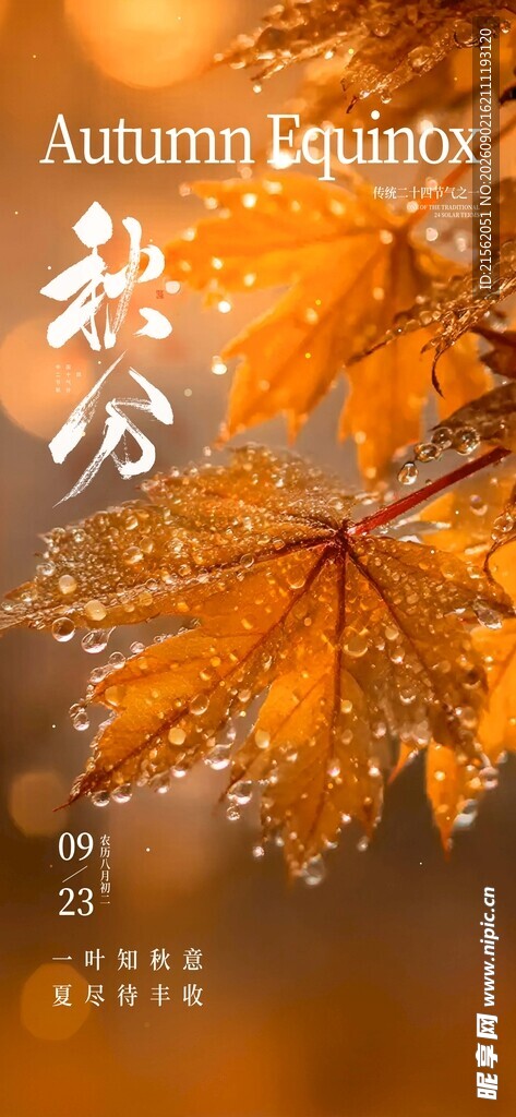 秋分