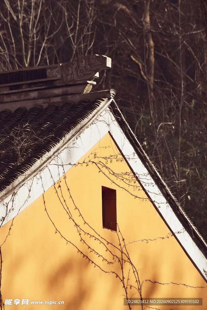 黄色小屋的屋顶与冬日景象