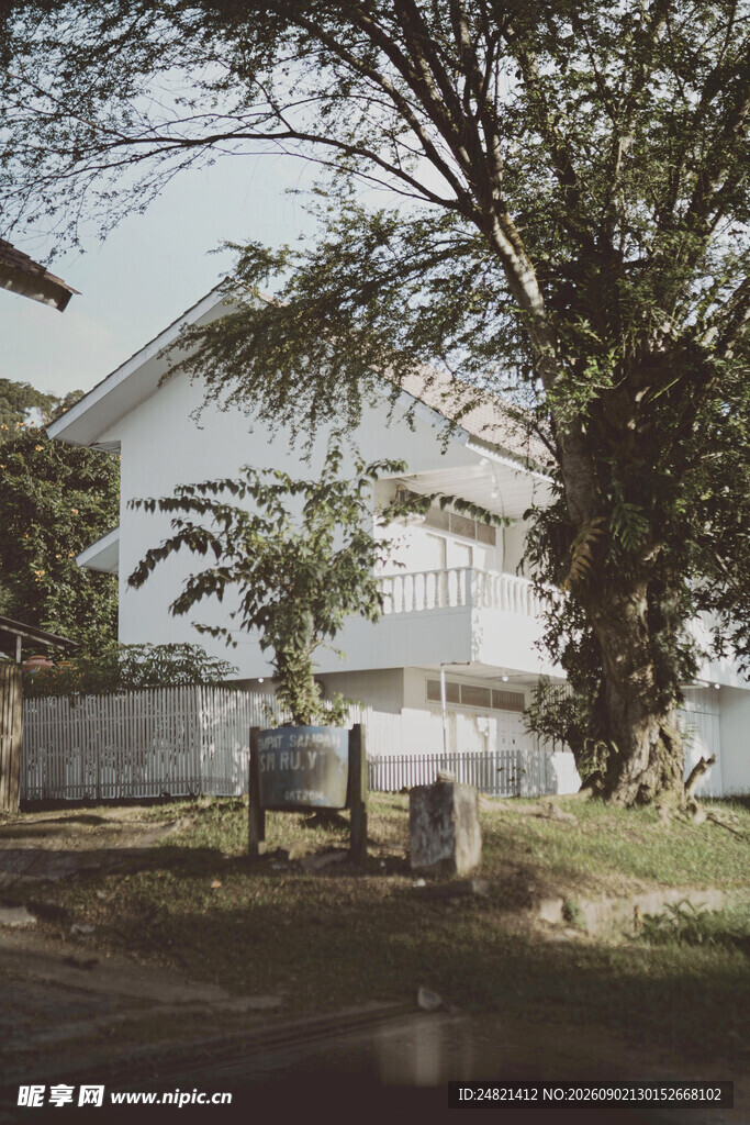乡村小屋旁的绿树与风景
